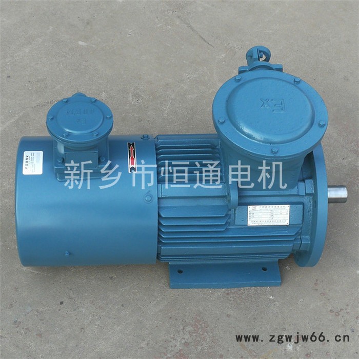 千业牌 防爆力矩电机 高防护等级IP55 IP54 力矩防爆电机 量身定做图4