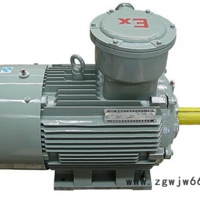 防爆电机