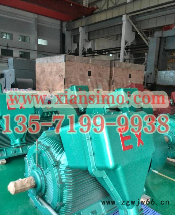 YB2-4504-8 355KW 6KV IP54 ExdⅡBT4 Gb隔爆型防爆电机图3