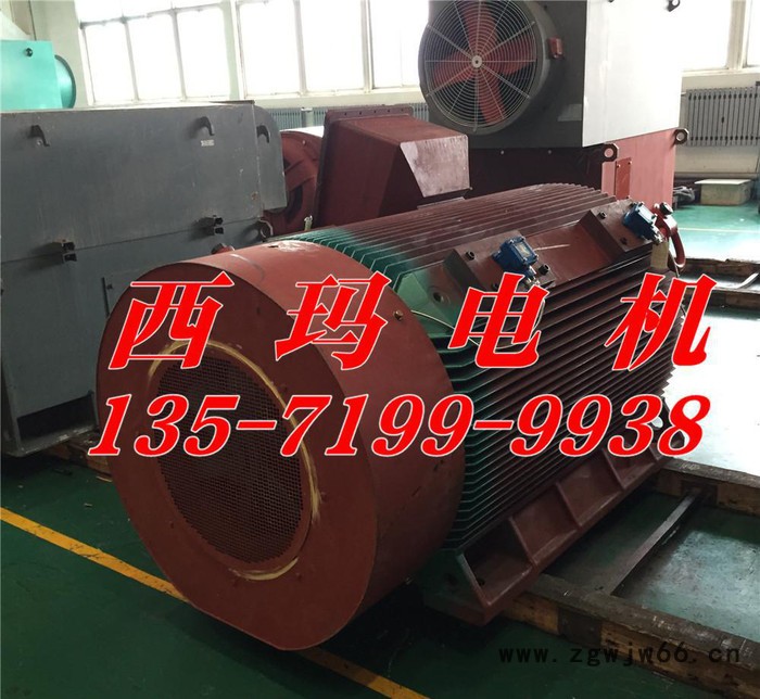 YB2-4503-2 450KW 10KV IP54 ExdⅡBT4 Gb隔爆型防爆电机图2