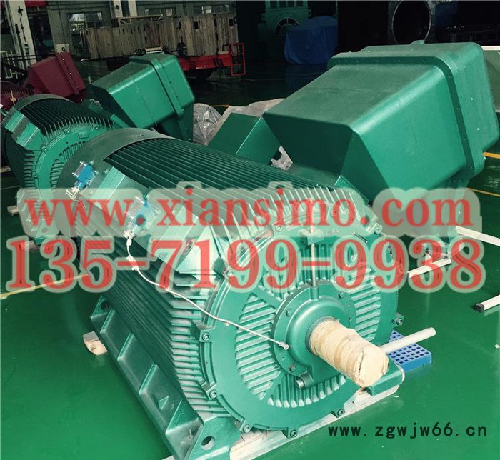 YB2-5005-4 900KW 10KV IP54 ExdⅡBT4 Gb隔爆型防爆电机图3