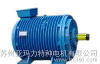 YGP辊道用变频调速电机