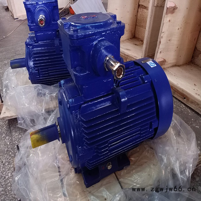 南阳华达 节能防爆电机 南阳防爆电机 高效防爆电机 南阳电机生产厂家图2