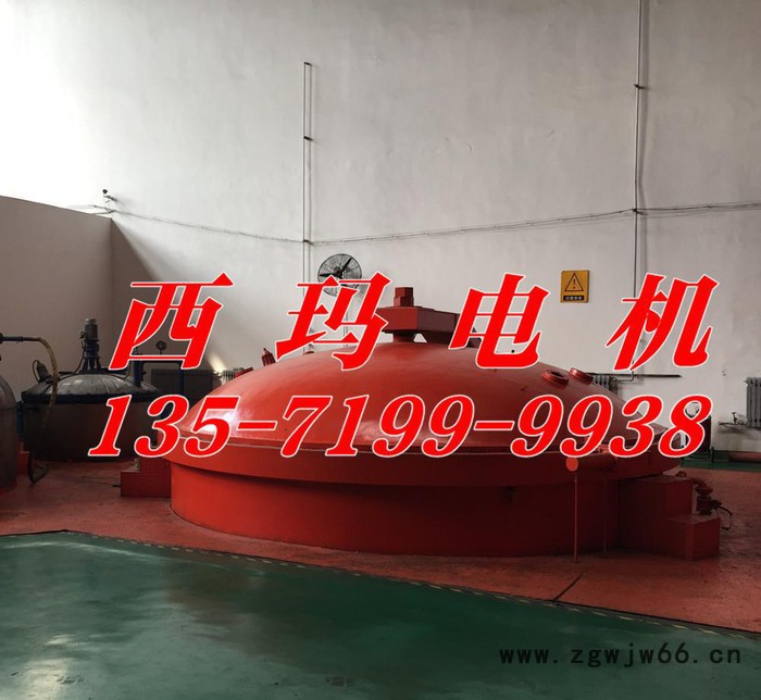 YB2-4502-4 560KW 6KV IP54 ExdⅡBT4 Gb隔爆型防爆电机图2