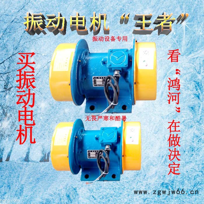 鸿河科技厂家供应TZD41-4C4极三相异步振动电机图3