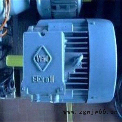 热卖德国VEM防爆电机图3
