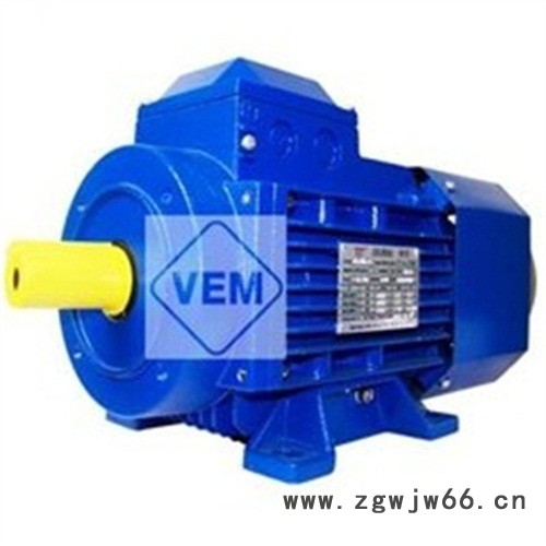 热卖德国VEM防爆电机图4
