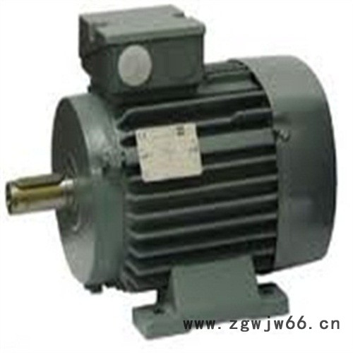 热卖德国VEM防爆电机图2