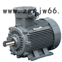 防爆电机、隔爆电机，气体防爆电机，粉尘防爆电机Exd IIB T4图7