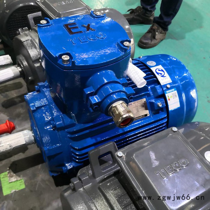 防爆电机、隔爆电机，气体防爆电机，粉尘防爆电机Exd IIB T4图2