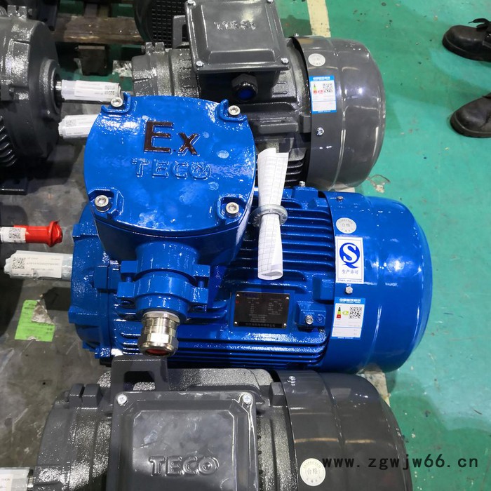防爆电机、隔爆电机，气体防爆电机，粉尘防爆电机Exd IIB T4图4
