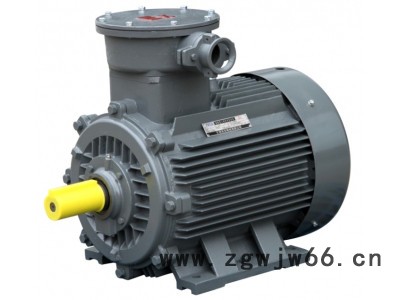 防爆电机、隔爆电机，气体防爆电机，粉尘防爆电机Exd IIB T4图6