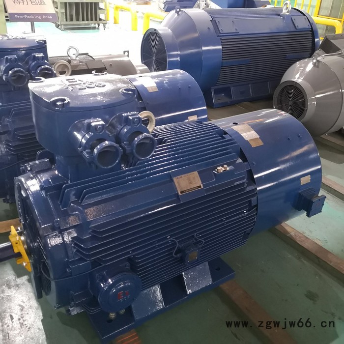 防爆电机、隔爆电机，气体防爆电机，粉尘防爆电机Exd IIB T4图8