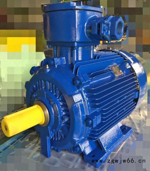 防爆电机、隔爆电机，气体防爆电机，粉尘防爆电机Exd IIB T4图5