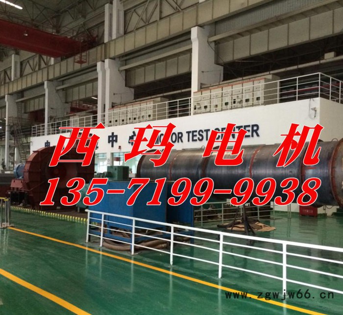 YB2-4504-2 710KW 6KV IP54 ExdⅡBT4 Gb隔爆型防爆电机图2