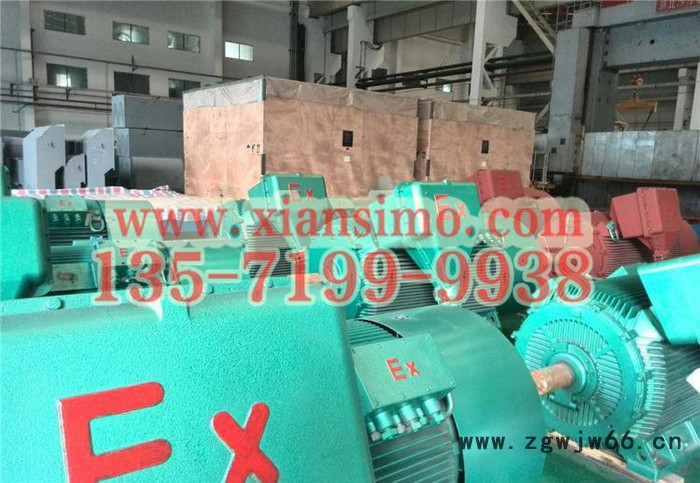 YB2-5001-4 560KW 10KV IP54 ExdⅡBT4 Gb隔爆型防爆电机图3