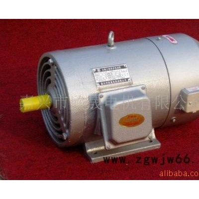 三相力矩电机YLJ90-4Nm-6/B5 变频电机