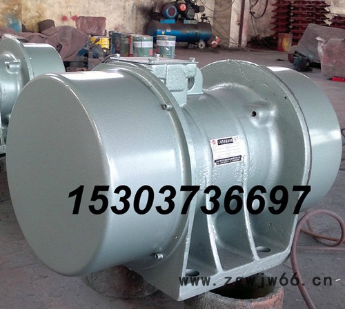 供应宏达VB-135906-W  9kw振动电机/激振器图5
