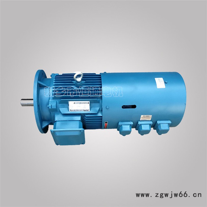千业牌 辊道电动机. 辊道电机加装编码器 定做出口电压各种电机 质量稳定图5