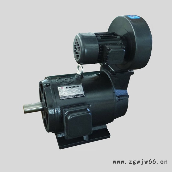 豫特力矩电机型号YLJ、YLJF辊道专用电机图2