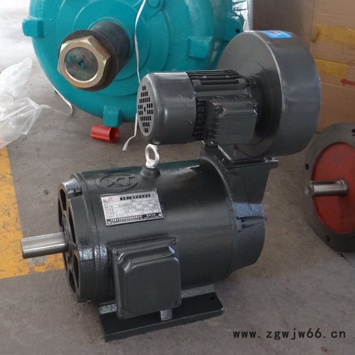 豫特力矩电机型号YLJ、YLJF辊道专用电机图3