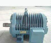 YG辊道电机 JG2辊道电机 YGA112L2-4图2