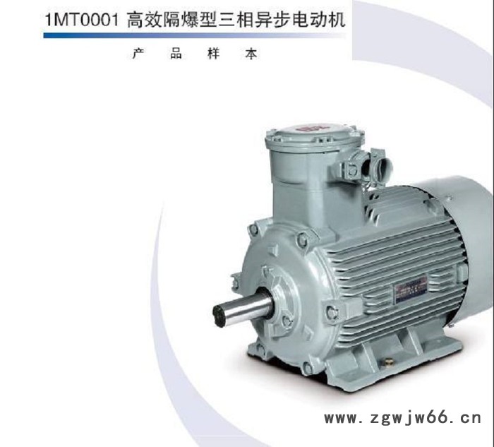 贝得1TL0001 西门子电机贝得电机贝得变频电机 贝得防爆电机西门子防爆电机图3