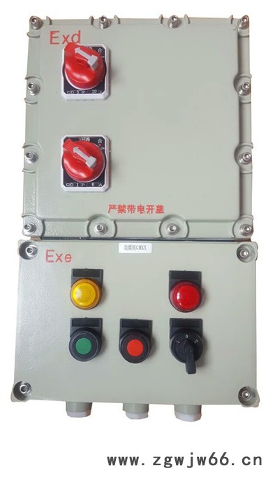 油泵房防爆动力配电箱定做防爆电机起动箱图2