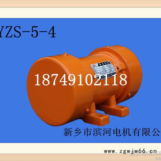供应滨河YZS振动电机图3