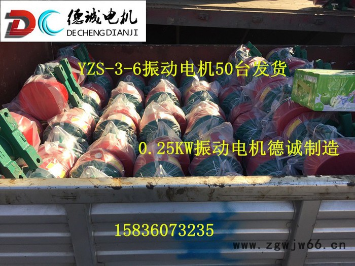结实耐用 ZDS-25-6   1.5KW振动电机ZDS-40-6振动电机图4