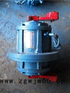 YZUL立式振动电机图2