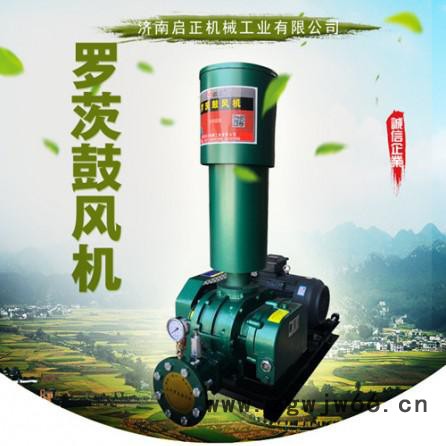 啟正100罗茨式风机 三叶罗茨式风机 支持防爆电机定制图3