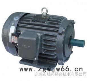 东元电机 东元刹车电机 东元防爆电机 东元变频电机图2