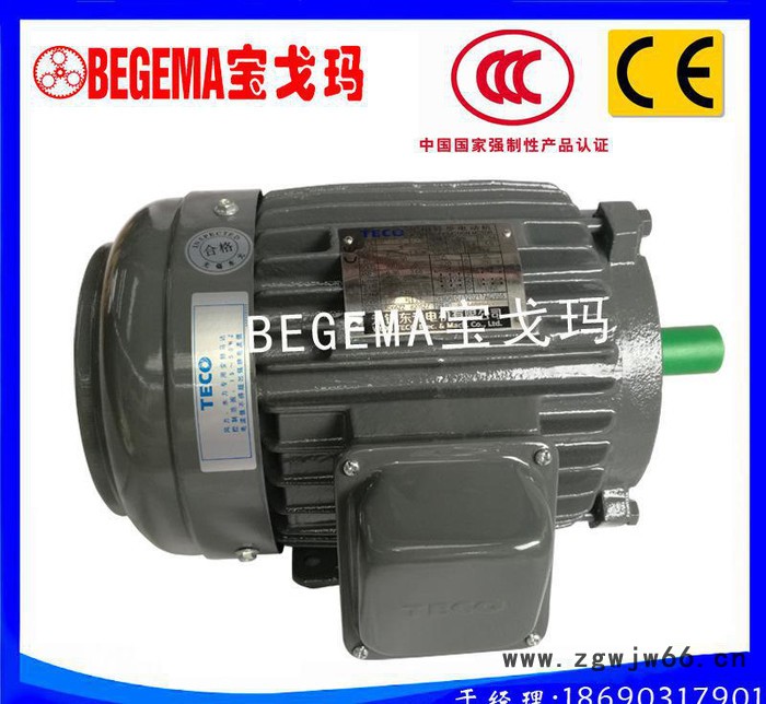 成都促销台湾东元电机TECO马达AEEF铸铁电机防爆电机1.5kw图2