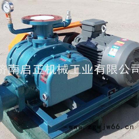 啟正CCR50V罗茨真空泵 支持防爆电机定制图2