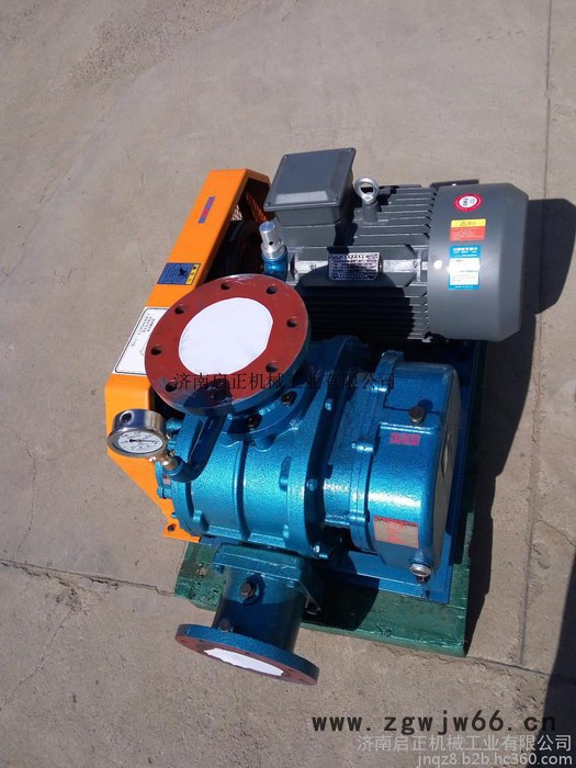 啟正CCR50V罗茨真空泵 支持防爆电机定制图3