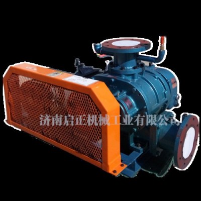 啟正CCR50V罗茨真空泵 支持防爆电机定制