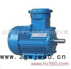 供应 防爆电机 矿用电机 专业制造图3