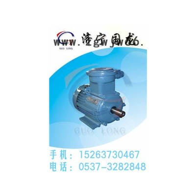 供应YB2系列电机防爆电机