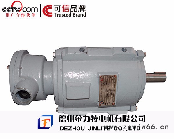 长期供应金力特YBF3防爆电机图3