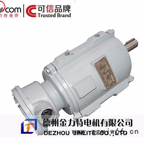 长期供应金力特YBF3防爆电机图5
