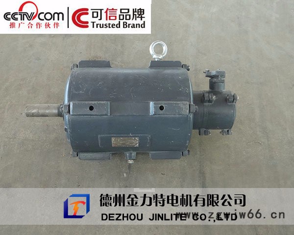 长期供应金力特YBF3防爆电机图2