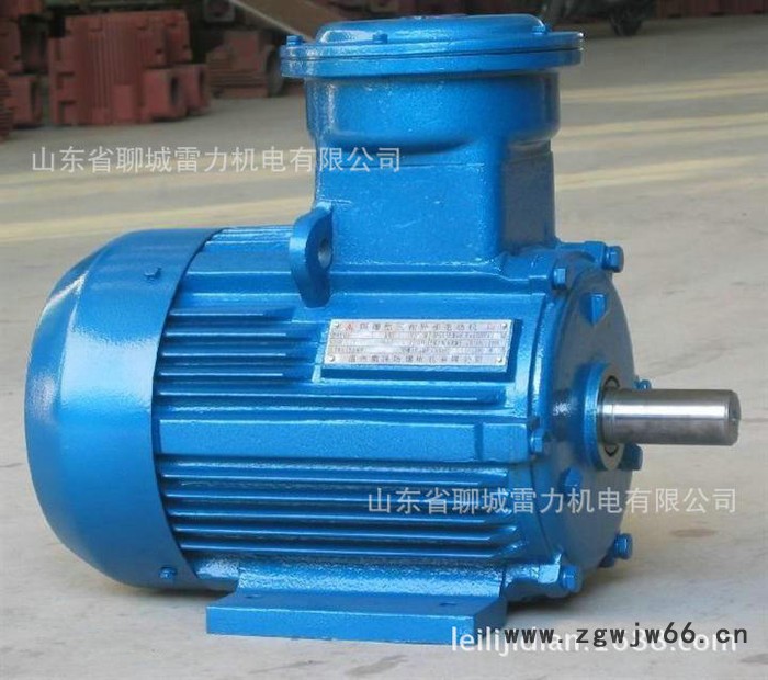 专业加工生产 防爆电机YB200L-4  三相防爆变频电机 防爆电机30kw图2