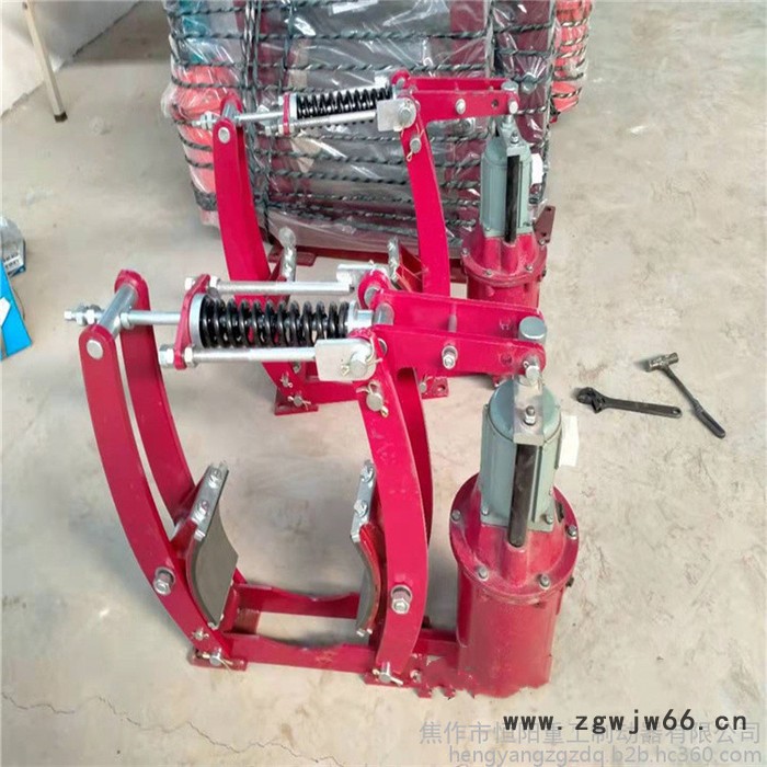 河南恒阳重工机械加工BYWZ5-300/E30 隔爆型液压制动器  防爆电机  快速报价图3