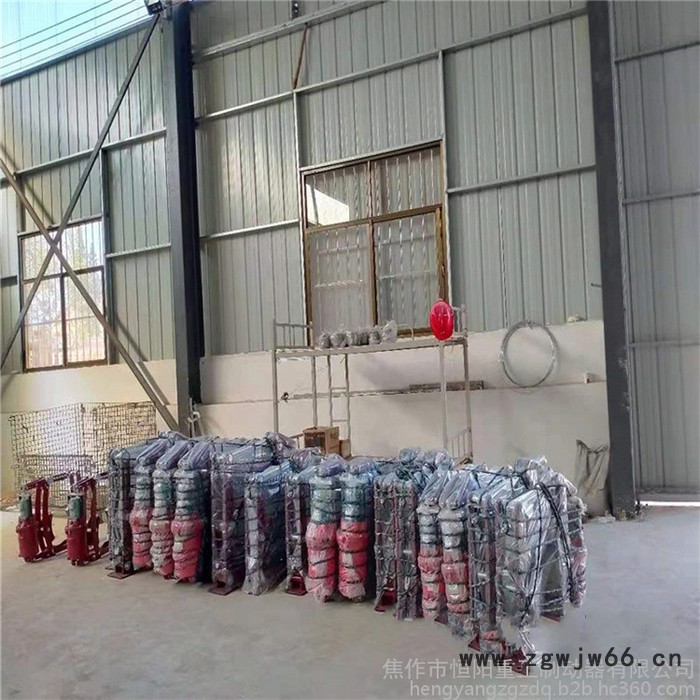 河南恒阳重工机械加工BYWZ5-300/E30 隔爆型液压制动器  防爆电机  快速报价图2