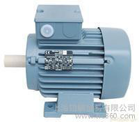 VEM三相异步防爆电机