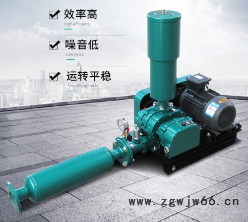 啟正CCR200容积式鼓风机 支持防爆电机定制图3