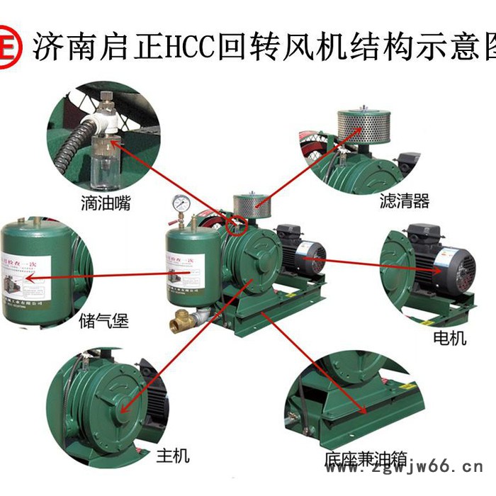 运转费用低的啟正HCC251S回转式鼓风机 畜禽养殖废水处理 支持防爆电机定制图3
