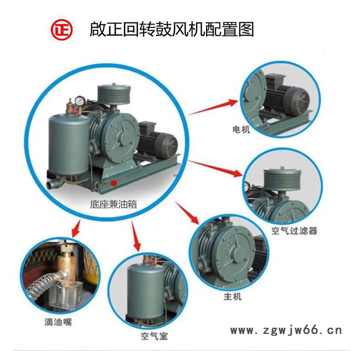 运转费用低的啟正HCC251S回转式鼓风机 畜禽养殖废水处理 支持防爆电机定制图2