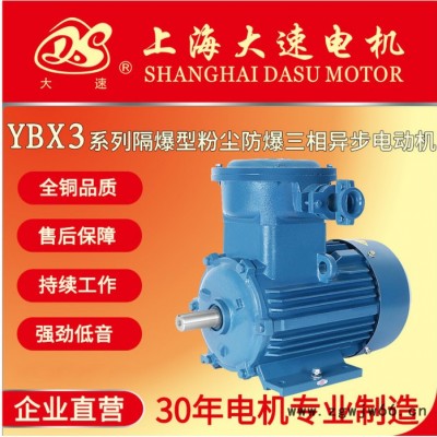 隔爆型三相异步电动机 防爆电机隔爆电机 上海大速YB3-315S-4-110KW